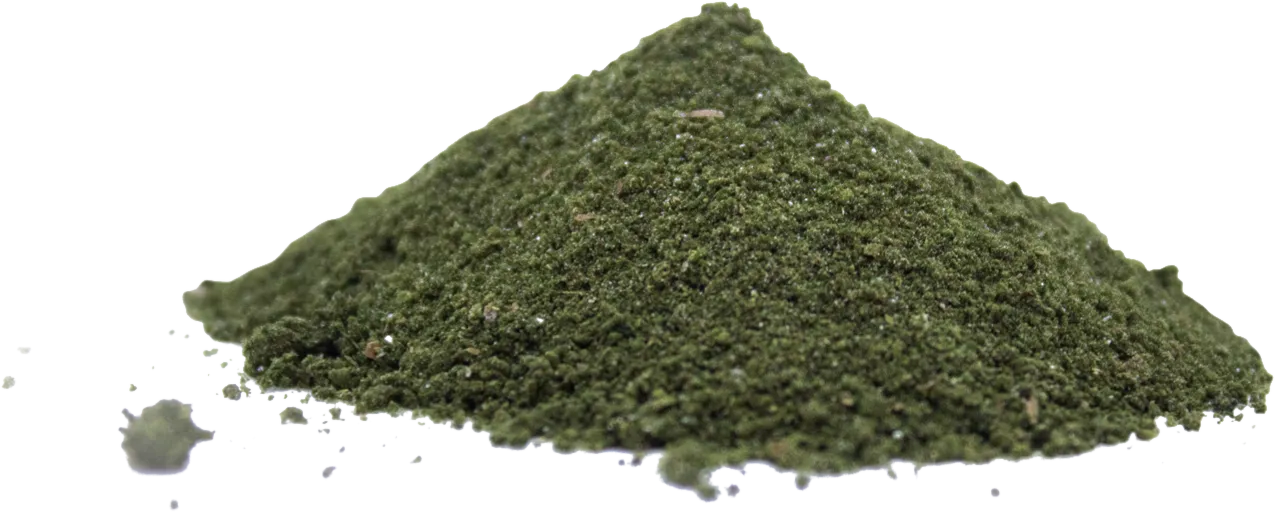 A low pile of dried, milled Aonori — a fine, matte, sage-green powder.